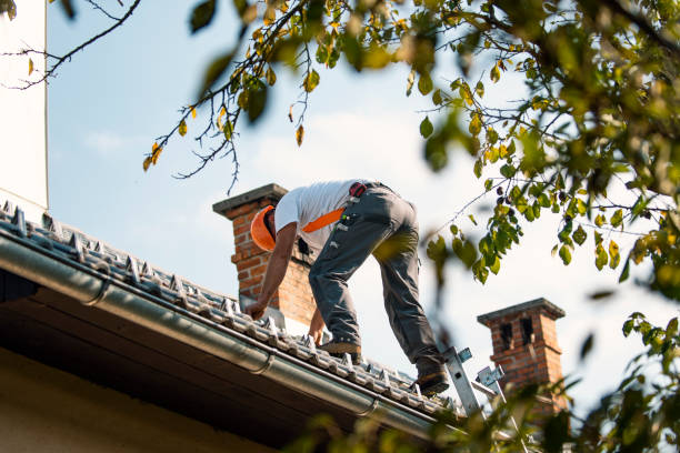 Roof Gutter Cleaning in Pemberton Heights, NJ